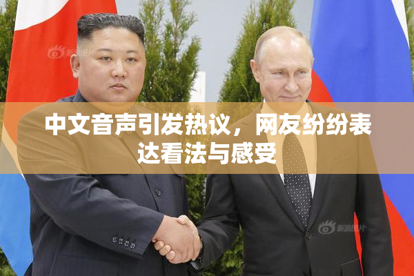 中文音声引发热议，网友纷纷表达看法与感受