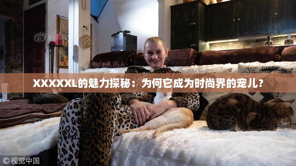 XXXXXL的魅力探秘：为何它成为时尚界的宠儿？