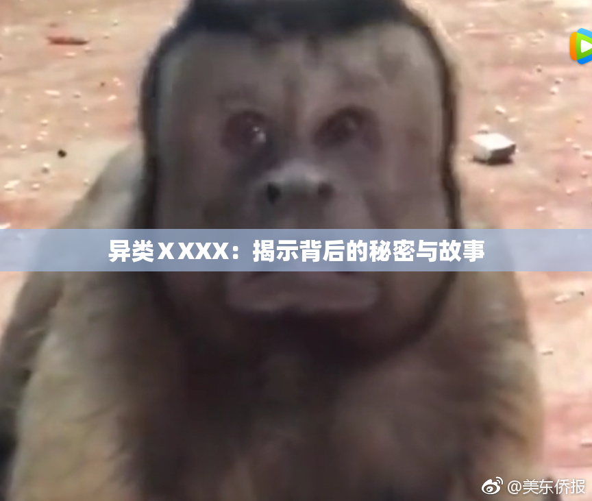 异类ⅩXXX：揭示背后的秘密与故事