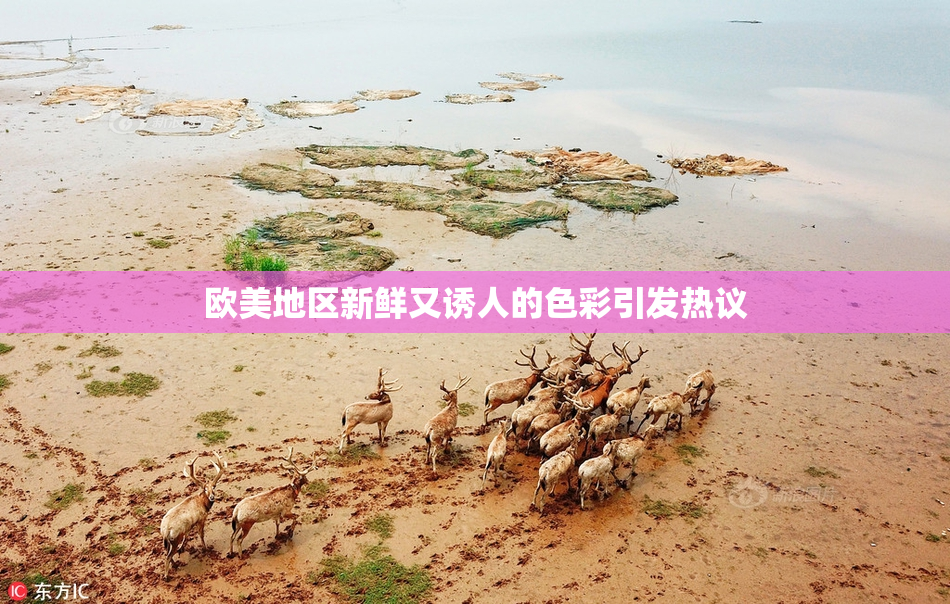 欧美地区新鲜又诱人的色彩引发热议