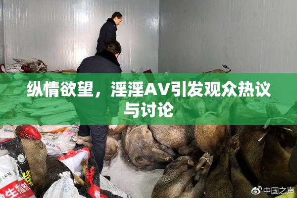 纵情欲望，淫淫AV引发观众热议与讨论
