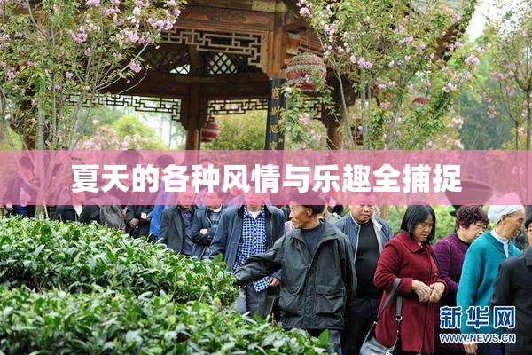 夏天的各种风情与乐趣全捕捉