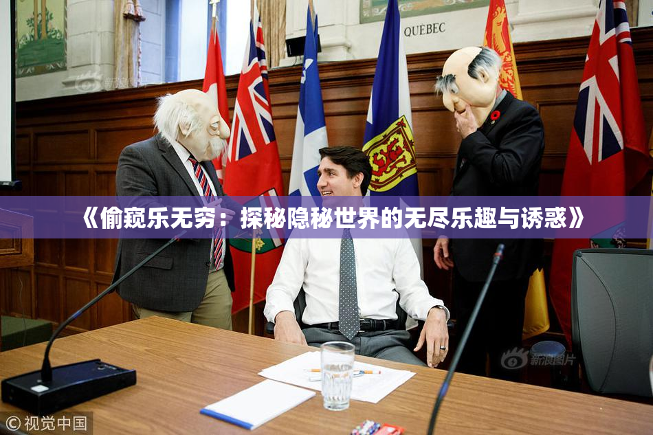 《偷窥乐无穷：探秘隐秘世界的无尽乐趣与诱惑》