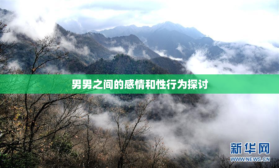 男男之间的感情和性行为探讨