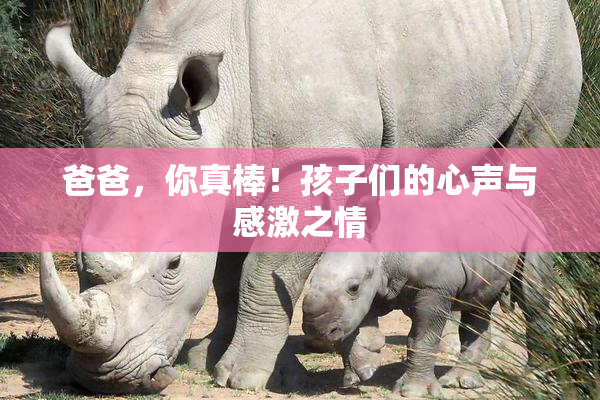 爸爸，你真棒！孩子们的心声与感激之情