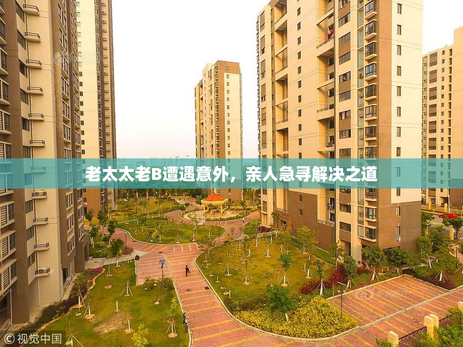 老太太老B遭遇意外，亲人急寻解决之道