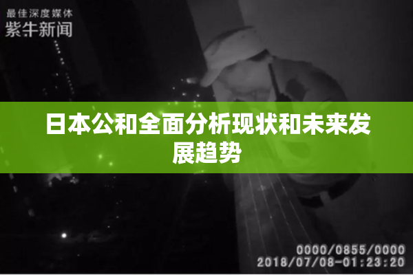 日本公和全面分析现状和未来发展趋势