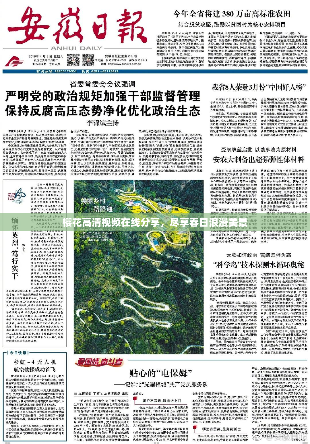 樱花高清视频在线分享，尽享春日浪漫美景