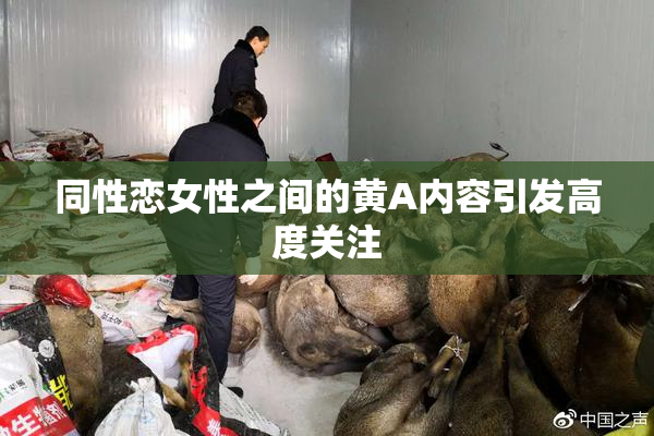 同性恋女性之间的黄A内容引发高度关注