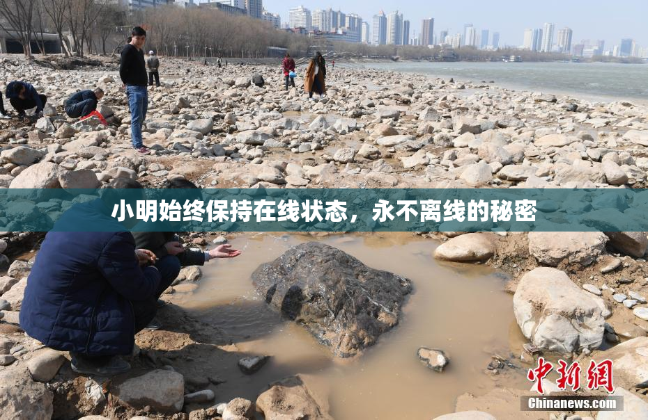 小明始终保持在线状态，永不离线的秘密