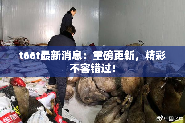 t66t最新消息：重磅更新，精彩不容错过！