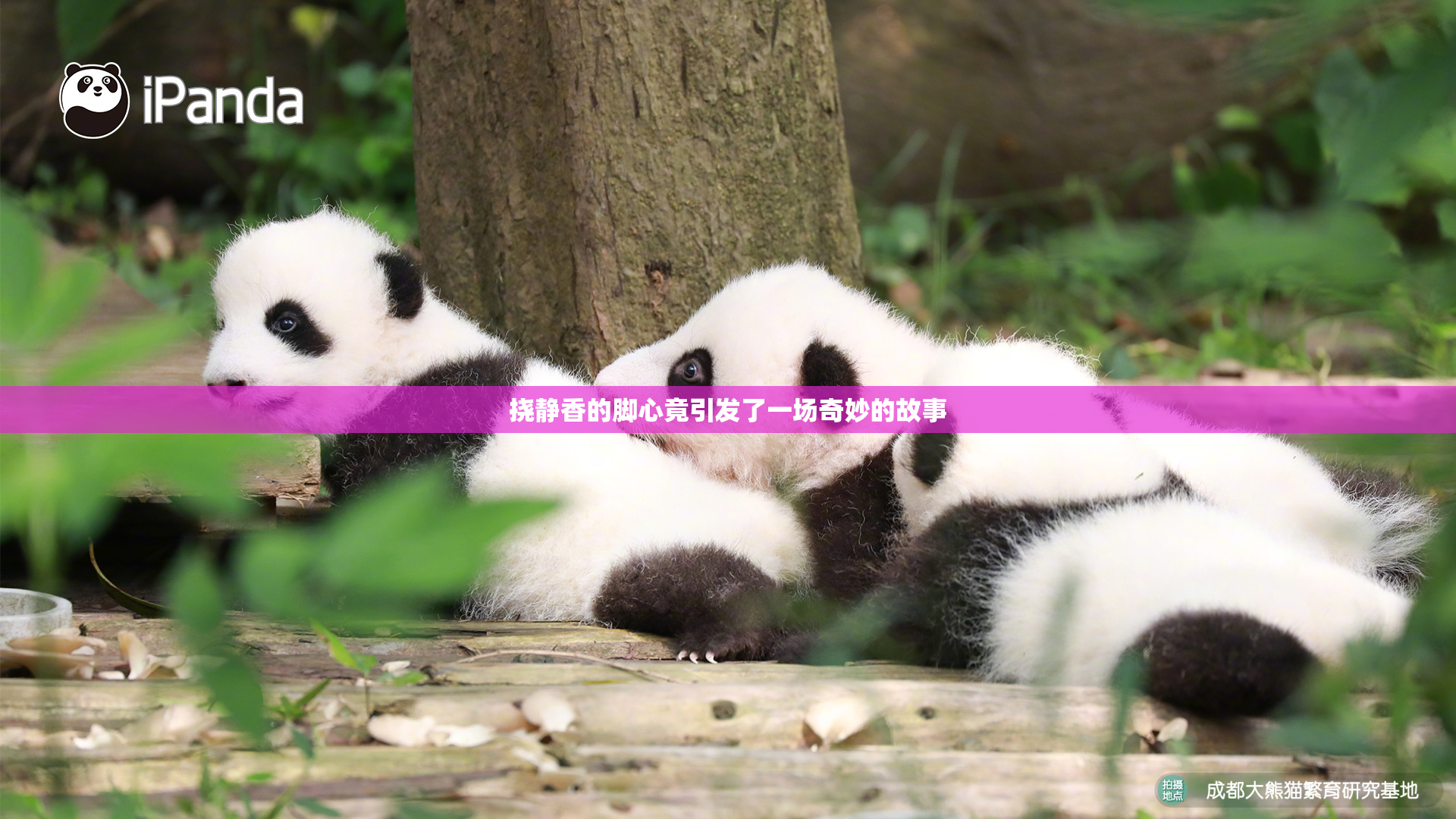 挠静香的脚心竟引发了一场奇妙的故事