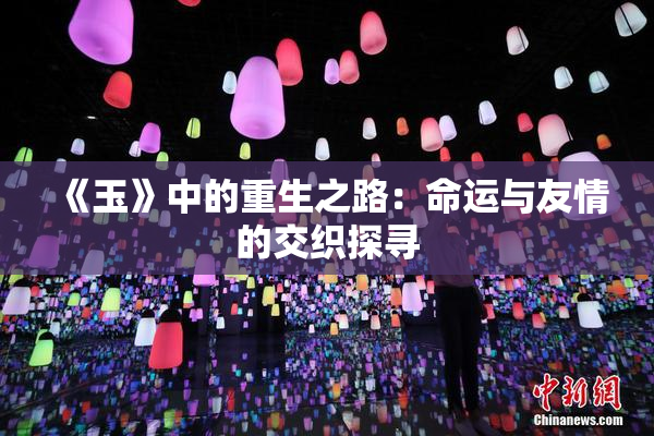 《玉》中的重生之路：命运与友情的交织探寻