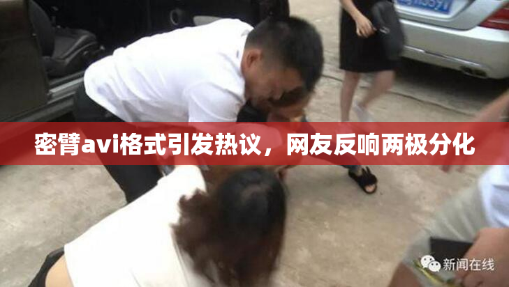密臂avi格式引发热议，网友反响两极分化