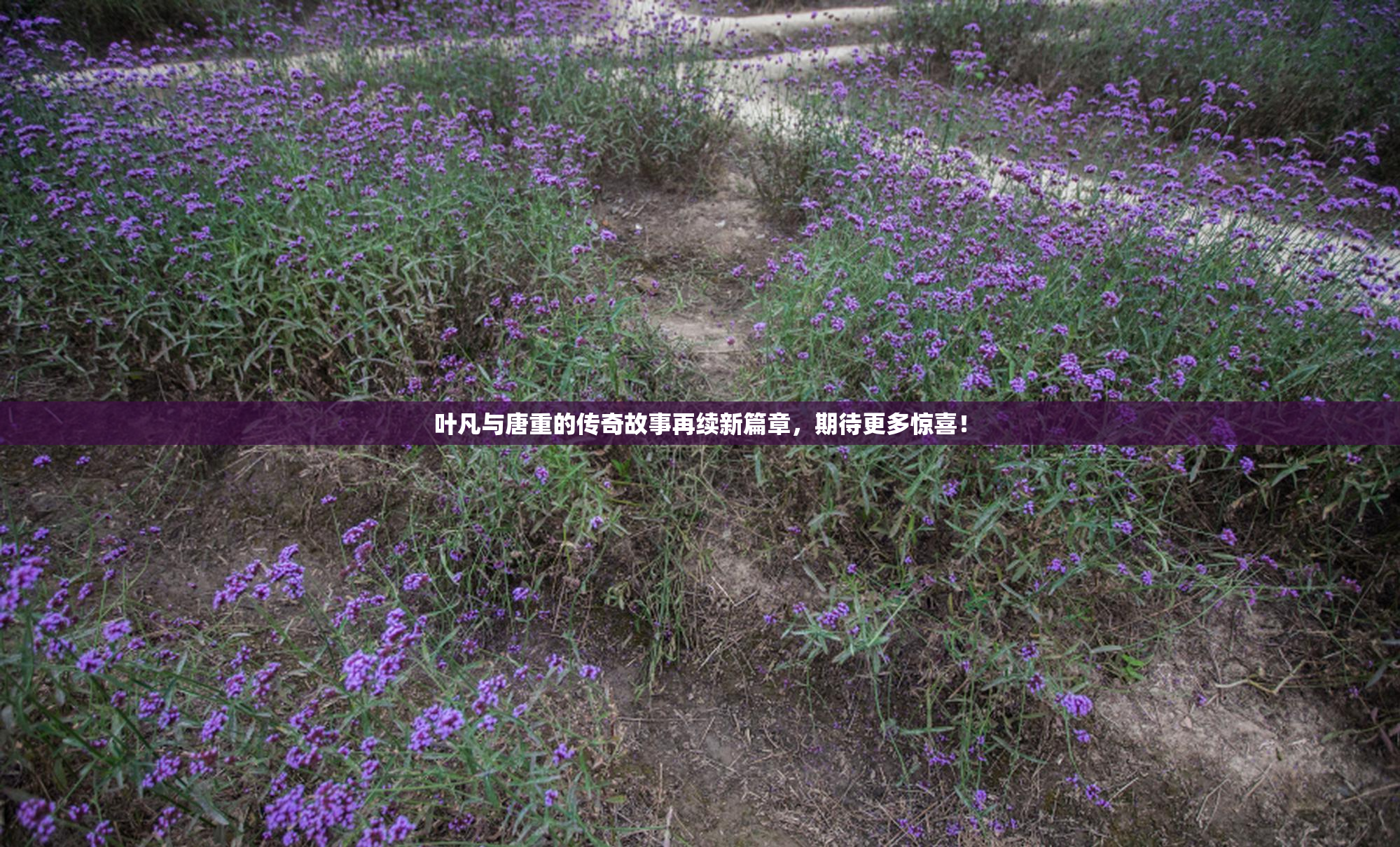 叶凡与唐重的传奇故事再续新篇章，期待更多惊喜！
