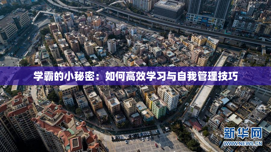 学霸的小秘密：如何高效学习与自我管理技巧