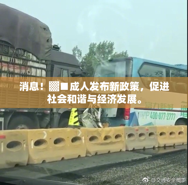 消息！▓■成人发布新政策，促进社会和谐与经济发展。