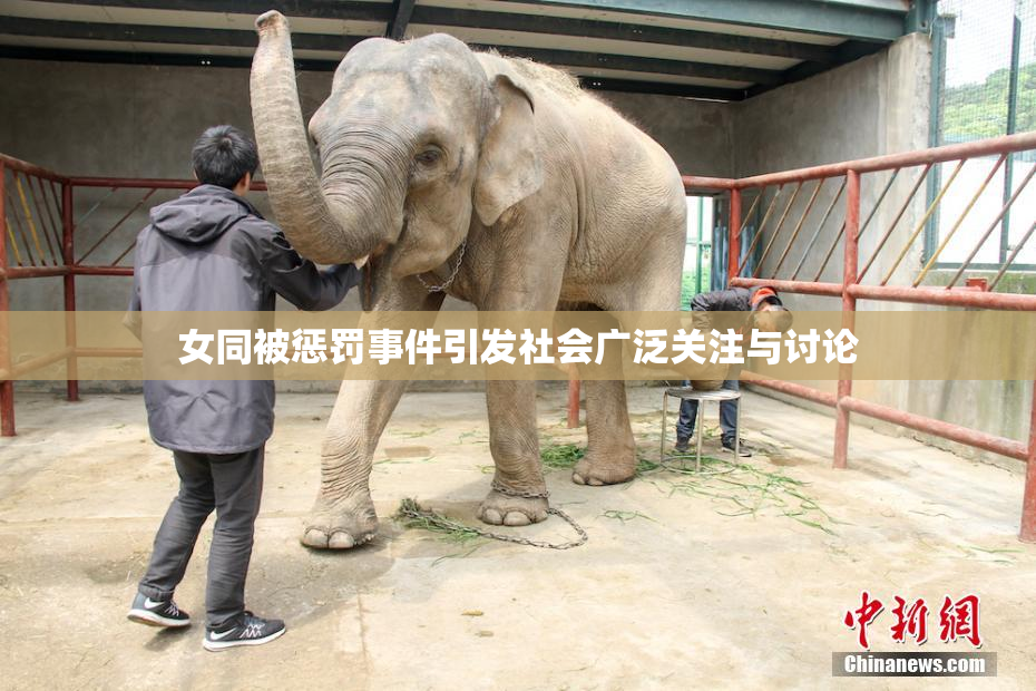 女同被惩罚事件引发社会广泛关注与讨论