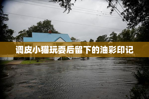 调皮小猫玩耍后留下的油彩印记