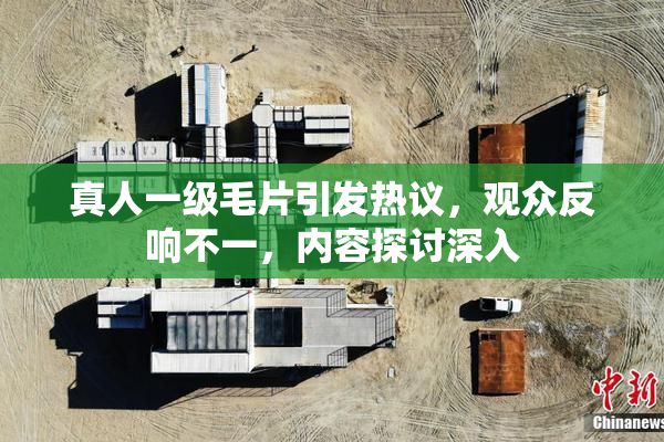 真人一级毛片引发热议，观众反响不一，内容探讨深入