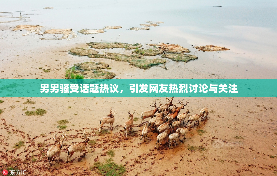男男骚受话题热议，引发网友热烈讨论与关注