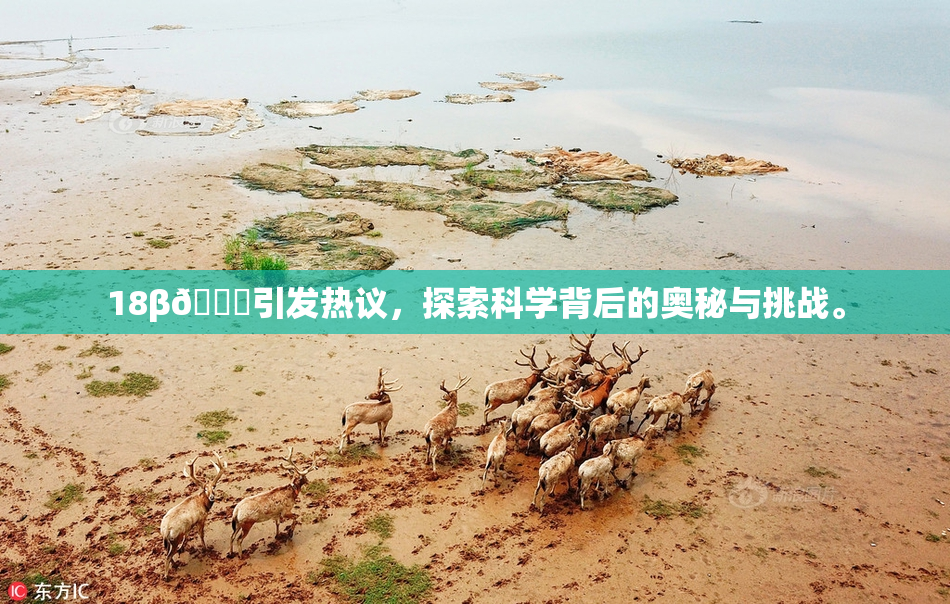 18β🍆引发热议，探索科学背后的奥秘与挑战。