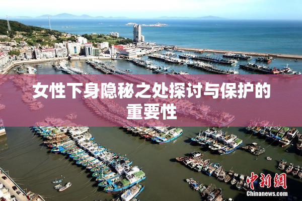女性下身隐秘之处探讨与保护的重要性