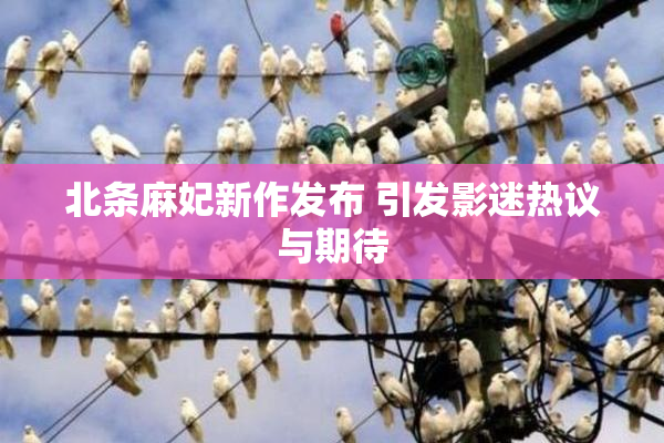 北条麻妃新作发布 引发影迷热议与期待