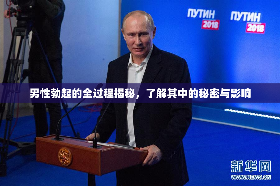 男性勃起的全过程揭秘，了解其中的秘密与影响