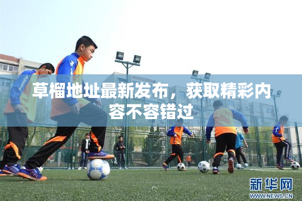 草榴地址最新发布，获取精彩内容不容错过