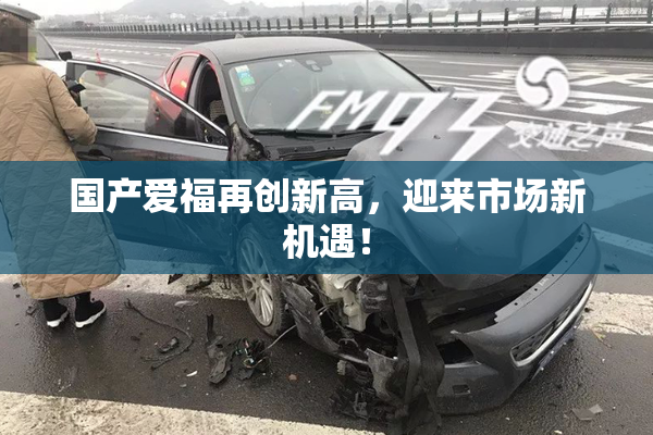 国产爱福再创新高，迎来市场新机遇！