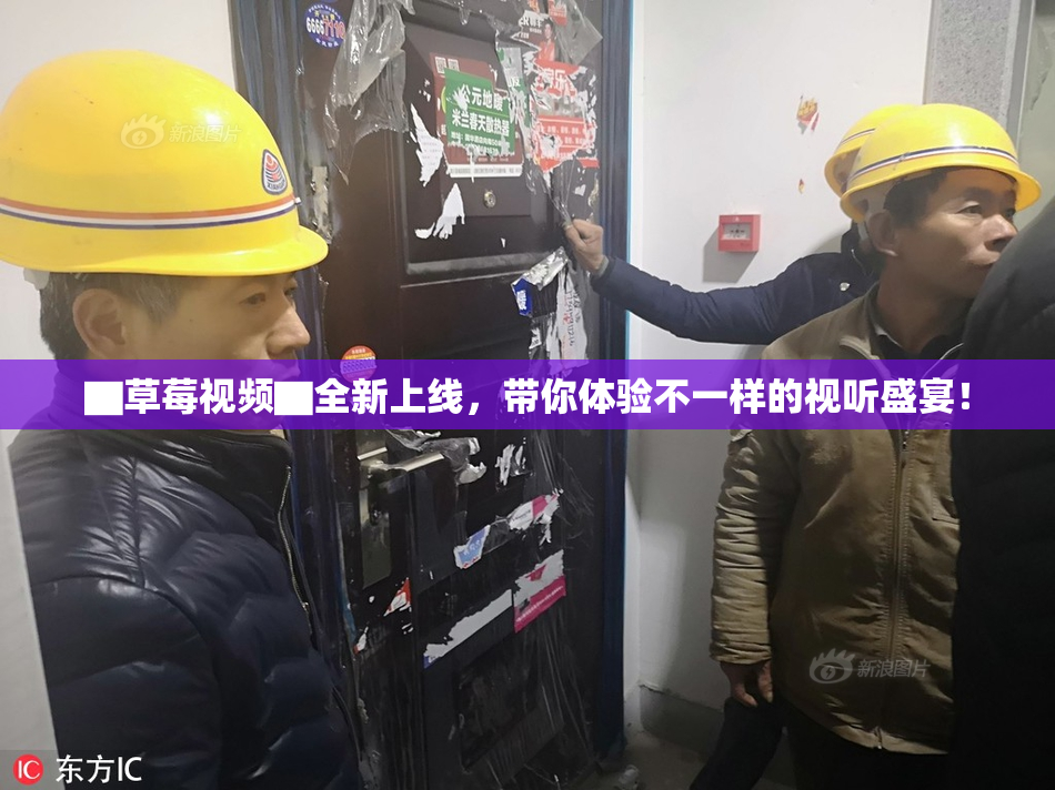 ▇草莓视频▇全新上线，带你体验不一样的视听盛宴！