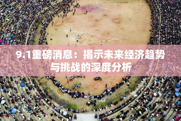 9.1重磅消息：揭示未来经济趋势与挑战的深度分析