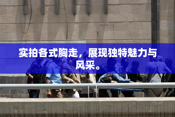 实拍各式胸走，展现独特魅力与风采。