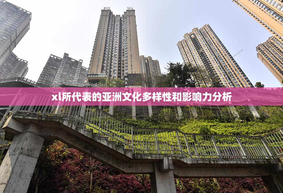 xl所代表的亚洲文化多样性和影响力分析