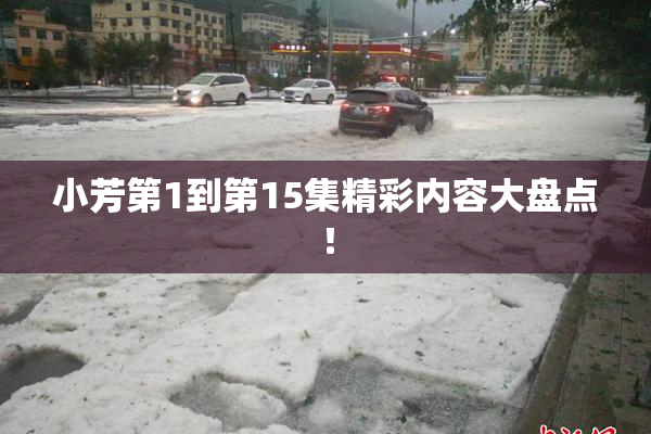 小芳第1到第15集精彩内容大盘点！
