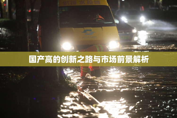 国产高的创新之路与市场前景解析