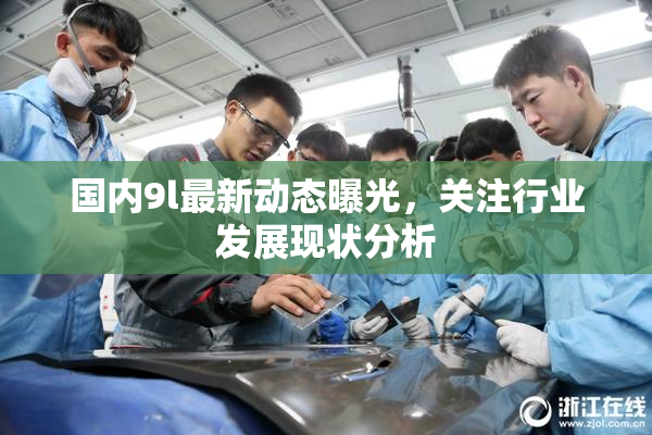 国内9l最新动态曝光，关注行业发展现状分析