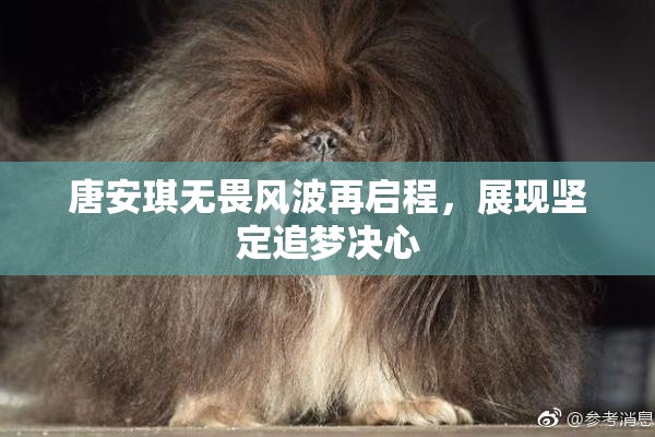 唐安琪无畏风波再启程，展现坚定追梦决心