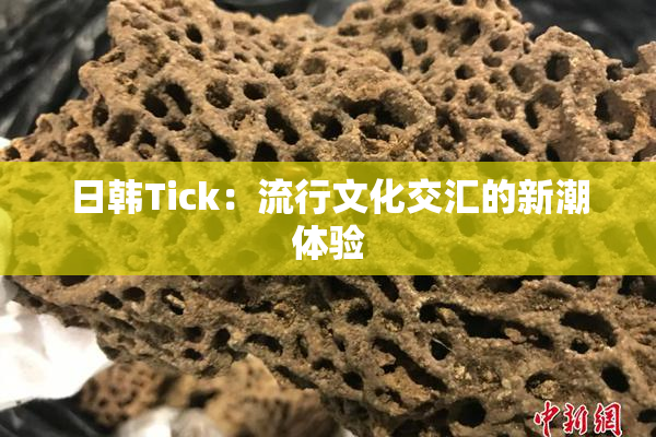 日韩Tick：流行文化交汇的新潮体验