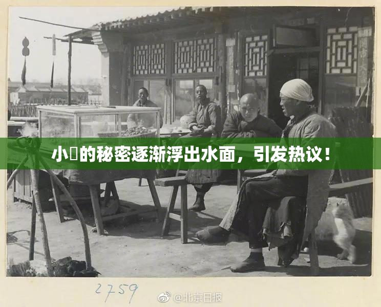 小泬的秘密逐渐浮出水面，引发热议！