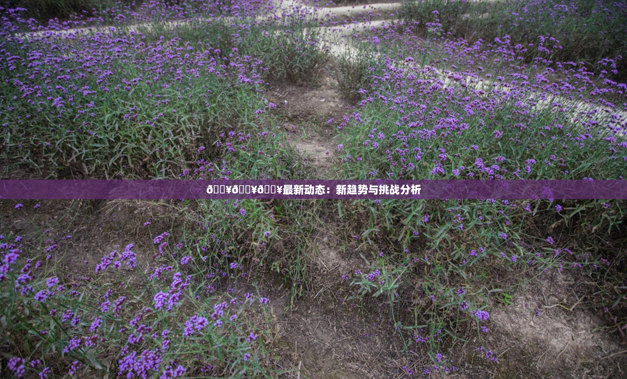 🔥🔥🔥最新动态：新趋势与挑战分析