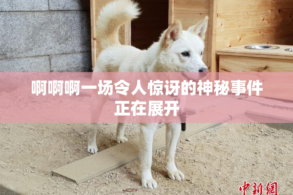 啊啊啊一场令人惊讶的神秘事件正在展开