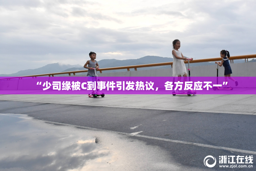 “少司缘被C到事件引发热议，各方反应不一”