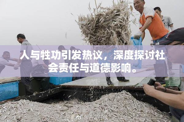 人与牲功引发热议，深度探讨社会责任与道德影响。