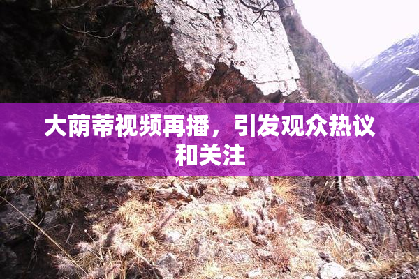 大荫蒂视频再播，引发观众热议和关注