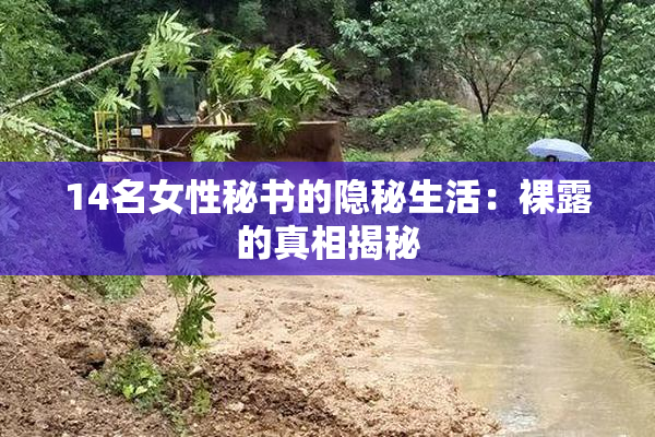 14名女性秘书的隐秘生活：裸露的真相揭秘