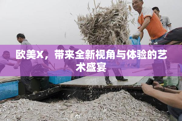 欧美X，带来全新视角与体验的艺术盛宴