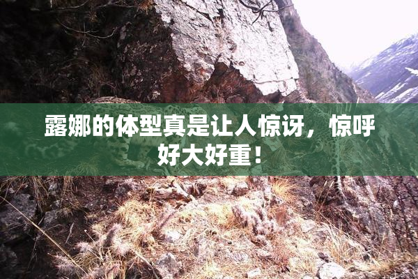 露娜的体型真是让人惊讶，惊呼好大好重！