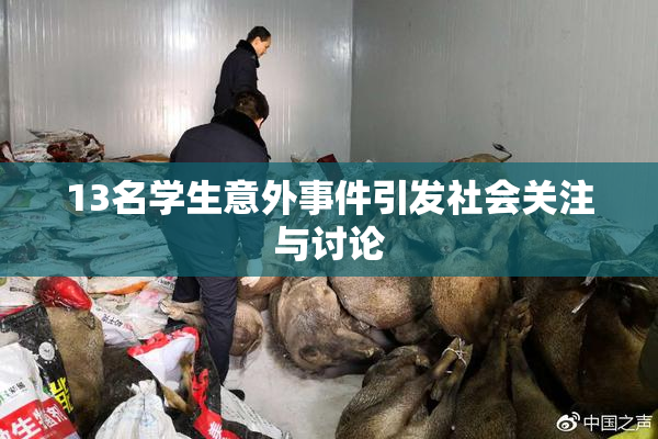 13名学生意外事件引发社会关注与讨论